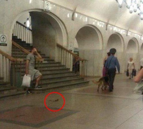Собака с милицией - metro (2).jpg