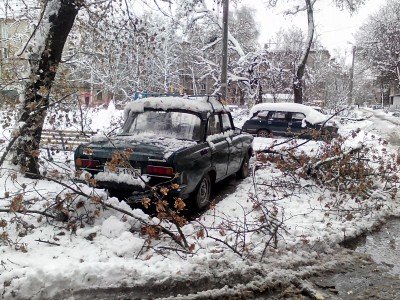 Деревья обложили старенький Москвич - IMG_20151203_143138.jpg