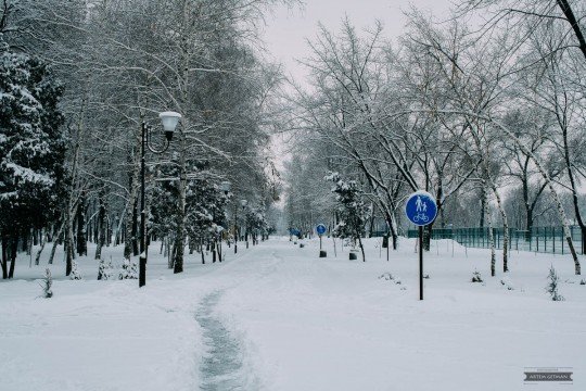 Новости, фото и видео из Краматорска, как живет город - Kramatorsk-Sad-Bernatskogo (1).jpg