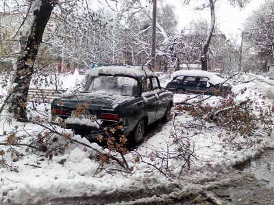 Деревья обложили старенький Москвич