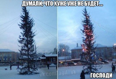 Елка полиняла
