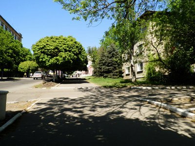 Фотошедевры наших участников - P5020329.JPG