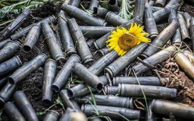 Гильзы от снарядов и подсолнух
