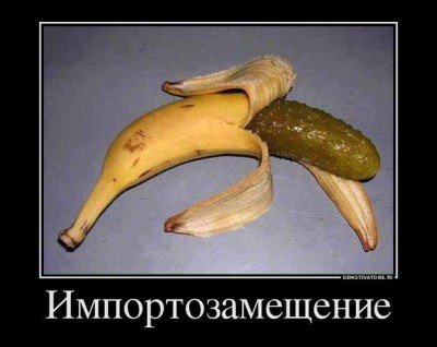 Импортозамещение