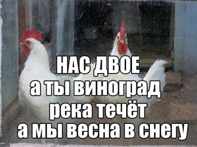 Как разговаривают россияне (относится не ко всем!)