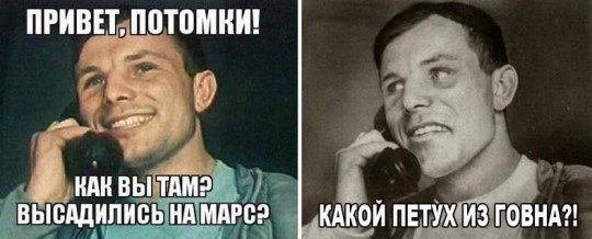 Какой петух из говна?
