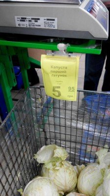 Капуста