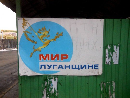 На плакате видно ПТН ПНХ