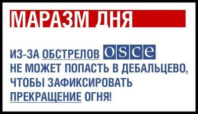ОБСЕ реально заебали, дебилы!