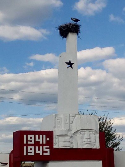 Обстановка в Станице Луганской - Станица Луганская.jpg