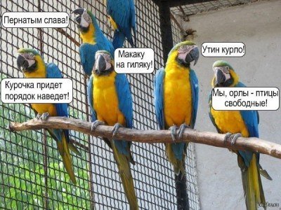 Роспропаганда - 2 - MyE-HA2wV0c.jpg