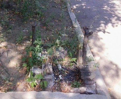 Шашлыки уже не жарит никто, не до этого
