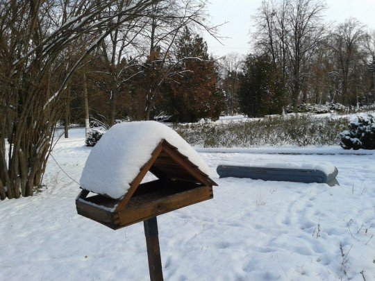 Славянск сегодня Актуальные новости, события, факты, фото - Slovyansk-winter-2.jpg