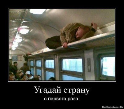 Спит на багажнике