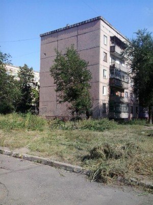 Траву давно никто не косил