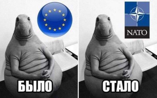 Украина получила безвизовый режим - ZHdun.jpg
