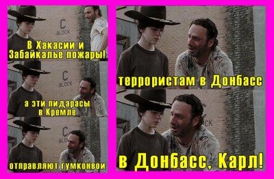 В Донбасс, Карл!