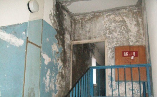 Хроники улучшения жизни в Крыму или Из России с любовью  - shelkino (5).jpg